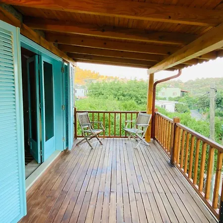 Close To Sea In The Village Of Bodrum/mazi Stone House Bodrum
